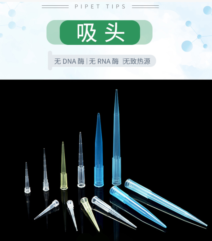 標普吸頭.png